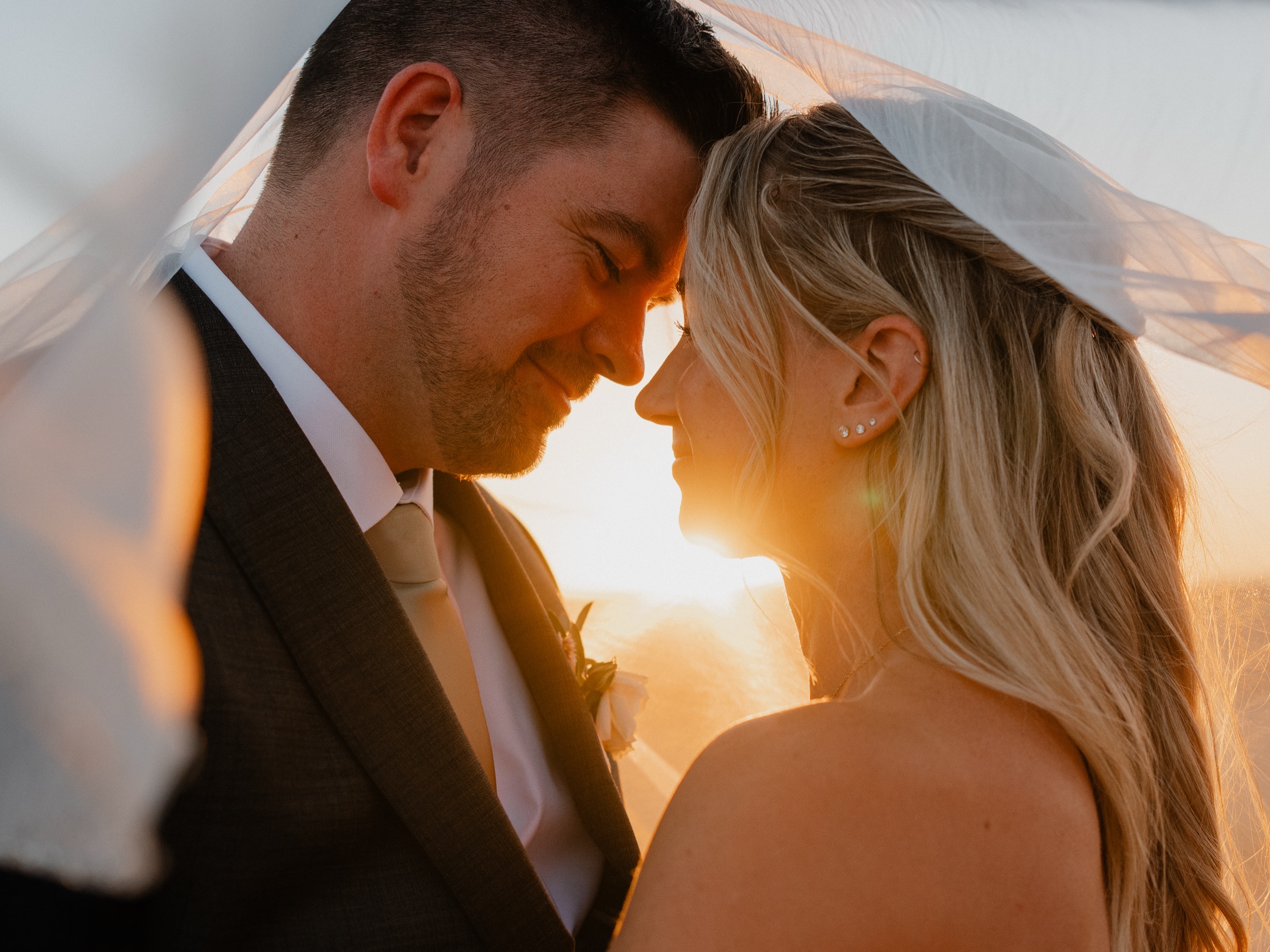 Bride and groom touching foreheads beneath a veil with the setting sun glowing between them, Central Coast wedding